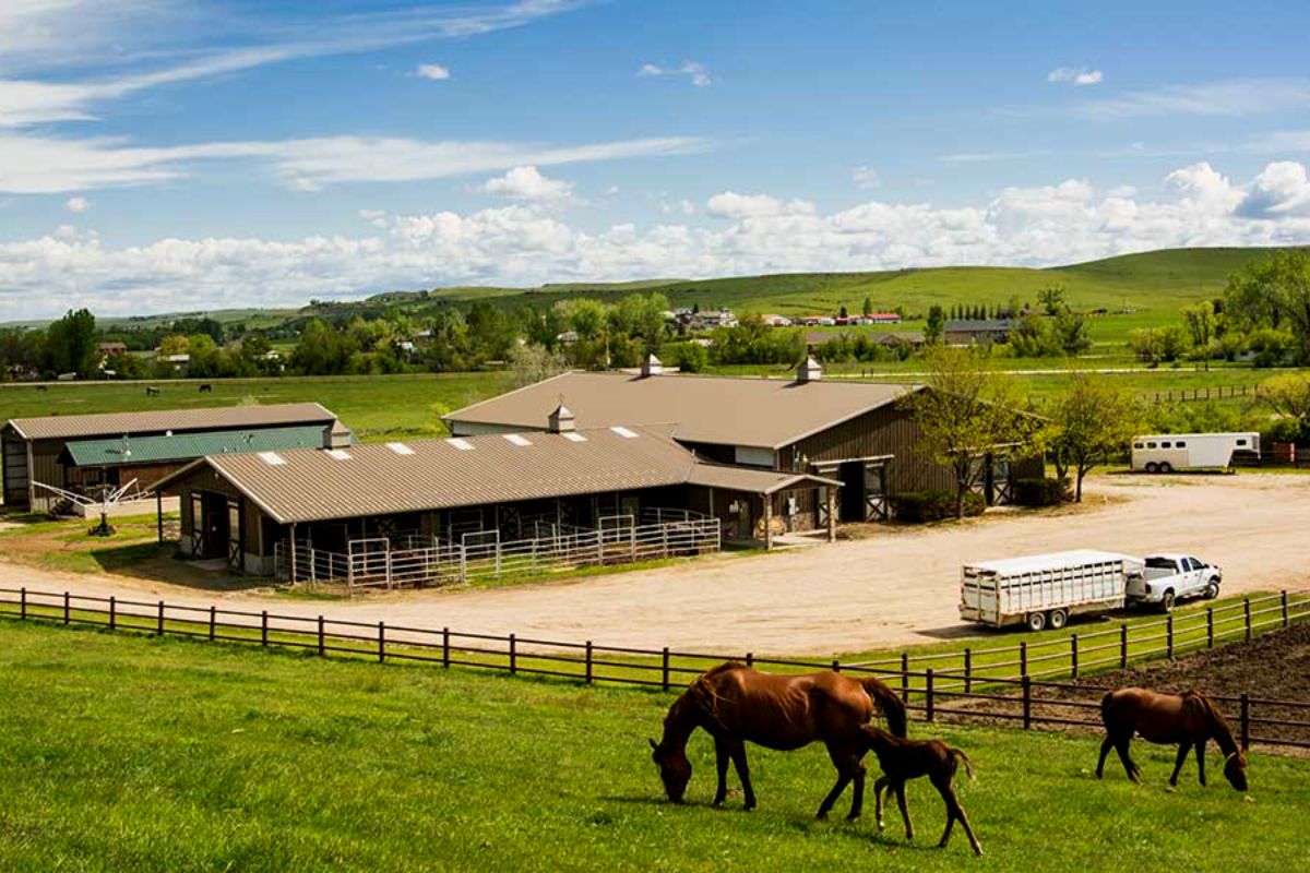 horse farm